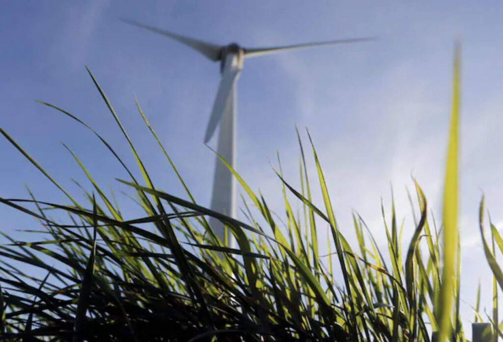 Adani to Invest $1 billion in Green Energy, Rise in Share Price